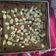 Cooksnap dari Dapur MayMel untuk resep Brownies Putih telur