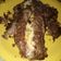 El cooksnap de Dahi Ana cuando hizo Pastel de carne relleno con jamón, queso y huevo!.