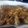 El cooksnap de beatrizcuycoll cuando hizo Alitas de pollo al chimichurri picante.