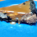 El cooksnap de lyss02 cuando hizo Tarta de queso y chocolate con salsa de caramelo.