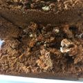 Cooksnap dari La Reina untuk resep 60. Banana Cinnamon Cake Keto (Gluten Free, Sugar Free)