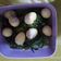 Cooksnap dari Rini S Lestari untuk resep Tumis Kangkung Belacan