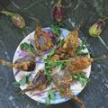 Aanal Avashiya Chhaya's cooksnap of when they made ભરેલા રીંગણ નું શાક.