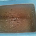 Cooksnap dari dian untuk resep Es krim jagung manis Homemade