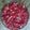 Jess's cooksnap of when they made Fruit Tart (courtesy of Paula Deen).
