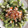 El cooksnap de raexmi cuando hizo Canonigos con kiwis.