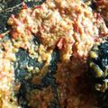 Cooksnap dari Dapoer Sarie untuk resep Sambal Acan Bejarang Khas Banjar