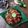 Cooksnap dari Nur Baeti untuk resep Sambal Raja Kutai