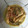Cooksnap dari Asya untuk resep Opor ayam