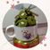 Cooksnap dari Leonie Sarah untuk resep Matcha Almond Cookies