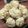 El cooksnap de san Sil cuando hizo Galletitas de coco keto!! Súper esponjosas.