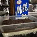 Cooksnap dari Elly Tan untuk resep Oreo dessert box
