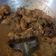 Cooksnap dari triandini untuk resep AYAM PENYET/AYAM GEPREK ala warung ayam