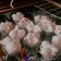 Cooksnap dari Ulfa Yunita untuk resep Bolu Kukus Dalmation