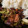 El cooksnap de AlexandraV cuando hizo Wok de brócoli con bacon en salsa Camembert al Jerez.