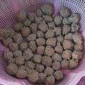 Cooksnap dari desy suryanti untuk resep Bakso Sapi (Pakai Chopper Philips)