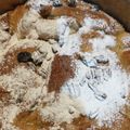 El cooksnap de romina rodriguez cuando hizo Pan dulce navideño FÁCIL.