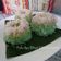 Cooksnap dari Oliveia Faizin untuk resep Putu Ayu Bihun