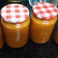 El cooksnap de Yoli Álvarez cuando hizo Salsa de tomate frito en panificadora.