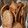 El cooksnap de brenda castillo cuando hizo Galletas de leche condensada sin horno.