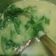 Cooksnap dari Mjdaud Maliky untuk resep Bobor Kangkung