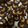 Cooksnap dari Ratnawati Ahmad untuk resep Choco Mete Cookies
