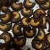 Cooksnap dari Ratnawati Ahmad untuk resep Choco Mete Cookies