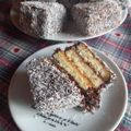 il ali quando ha preparato Lamingtons di Massimiliano