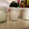 QN 的 鮮奶酪 cooksnap