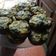 El cooksnap de María Eugenia cuando hizo Muffins de verdura.