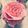 Cooksnap của Nguyễn Thuỵ Chi Anh khi họ làm theo món Cupcake Vani Màu Hường cho Valentine's Day