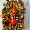 Vaishali Vaghela's cooksnap of when they made સ્પ્રાઉટ સલાડ (Sprout Salad Recipe In Gujarati).