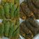Cooksnap dari Anto untuk resep Naget pisang greentea