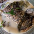 Cooksnap dari santi untuk resep Sup Ikan Gurame Sayur Asin kuah susu