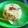 Dipa Bhattacharyya's cooksnap of when they made সেমাই উপমা(Semai upma recipe in Bengali).