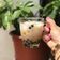Cooksnap của Nguyễn Thu Hạnh khi họ làm theo món Sữa tươi trân châu đường đen😋😋😋
