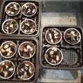 Cooksnap dari Indah Syanien untuk resep Cinnamon Banana Bread Pudding