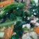 Cooksnap dari Yunita DR untuk resep Capcay Sayur
