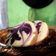 Cooksnap dari Laely Is untuk resep Bolu Air Jelita