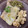 El cooksnap de jose manuel cuando hizo Bacalao con gambones al ajillo y habas con ajos tiernos.