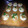 dazednene's cooksnap of when they made u devil u, devilled eggs.