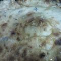 Marmarika's cooksnap of when they made Chicken Alfredo flat bread.