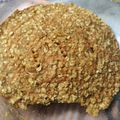 El cooksnap de Surai Ferreyra cuando hizo Bizcochuelo de zanahoria y avena, mircoondas.Apto vagetarianos.