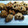 El cooksnap de gabysc018 cuando hizo Galletas de avena con miel y chocolate.