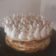 El cooksnap de Yanina Rodriguez cuando hizo Postres Rogel individual.