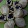 Cooksnap dari Vita Karminah untuk resep Kue Cubit Simple (tanpa telur)