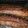 fjou11's cooksnap of when they made Chinese Baby Back Ribs.