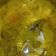 Cooksnap dari RonaCute untuk resep Ikan Asam Kuah Kuning (MPASI 12M+)