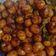 Cooksnap dari V untuk resep Sate Telur Puyuh Bacem