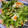 El cooksnap de Débora Cantero Martínez cuando hizo Ensalada de colores y sabores con arroz.